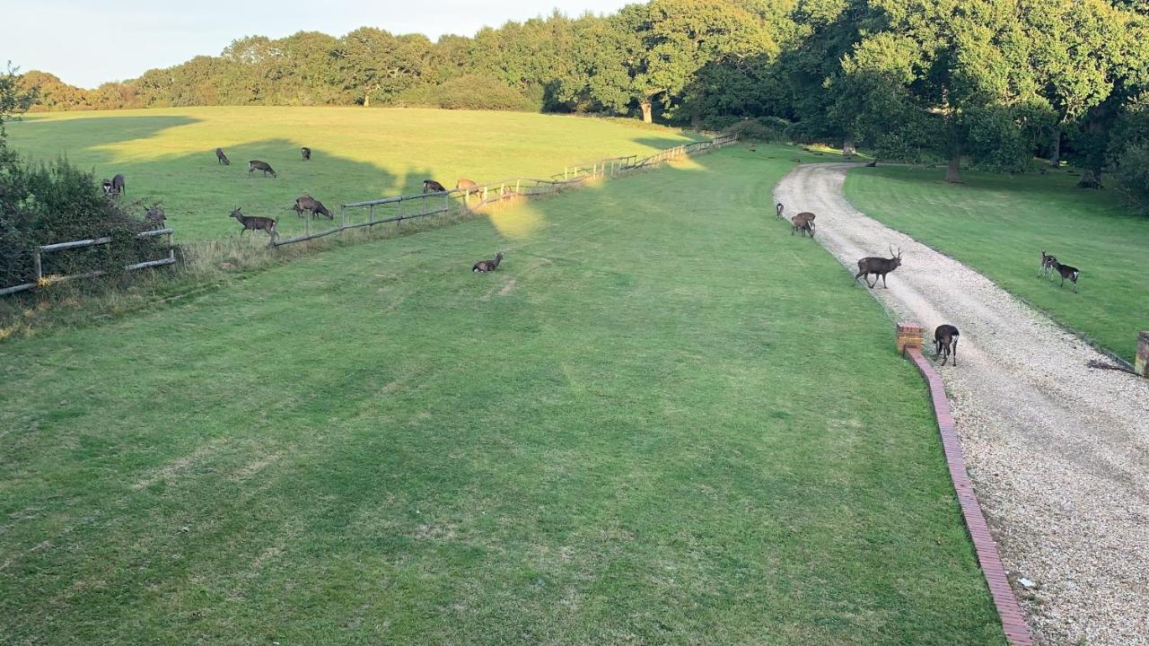 Yards Brake On 40 Acres Of Private Land Villa Langton Matravers Eksteriør bilde