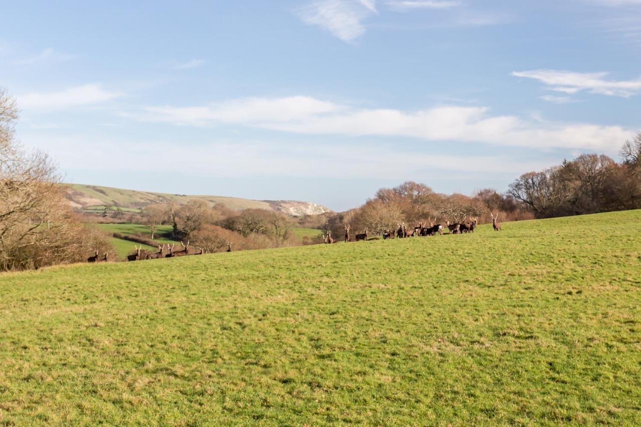 Yards Brake On 40 Acres Of Private Land Villa Langton Matravers Eksteriør bilde